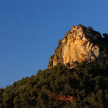 Foina Dels Fontanals Falset