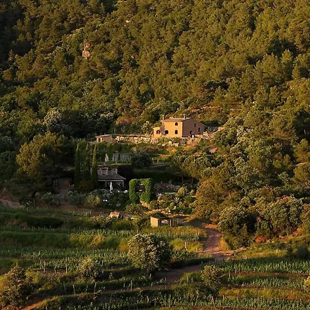 Villa Foina Dels Fontanals *