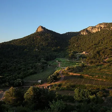 Foina Dels Fontanals